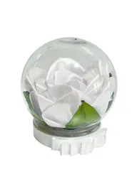 Regalo Especial Rosa Eterna Blanco - Regalo Feliz Dia - Dia De Amor Y Amistad