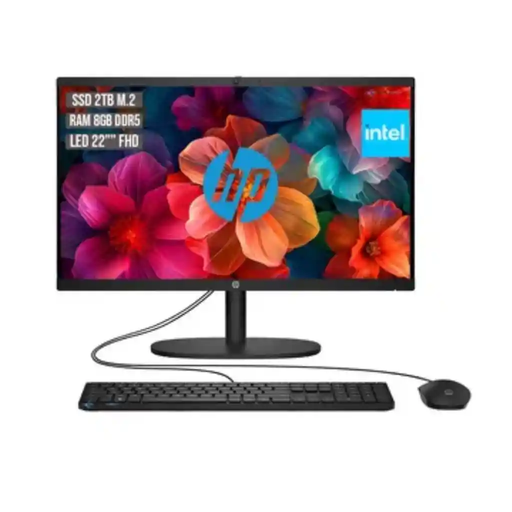 Computador Hp Todo En Uno Celeron 21.5" Disco 256 Ram 8gb
