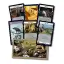 Juego De Mesa Dominion Segunda Edición Devir Para Adultos