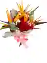 Bouquet Aves Del Paraiso Y Mini Rosa Colores
