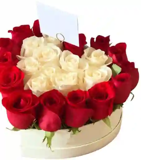 Corazón Mi Amor Eterno