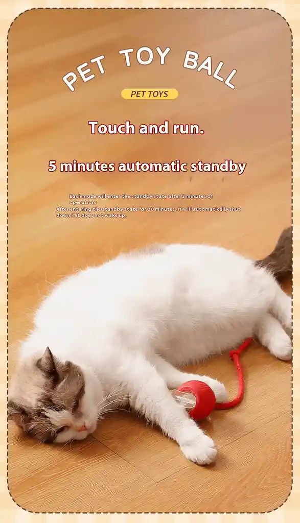 Juguete Bola Pelota Interactiva Para Gato Mascota Recargable Usb