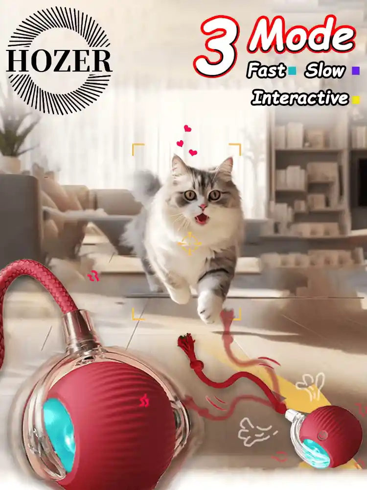 Juguete Bola Pelota Interactiva Para Gato Mascota Recargable Usb