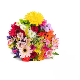Flores Variadas