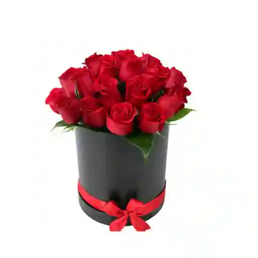 Rosas Rojas X24 En Caja Cilindrica