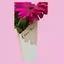 Gerberas En Capuchón De Corazón