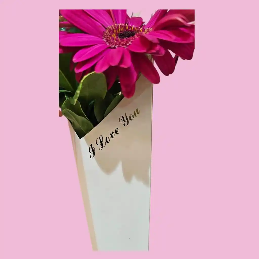Gerberas En Capuchón De Corazón
