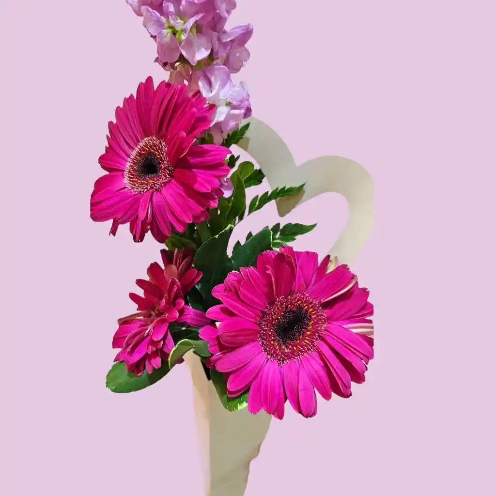 Gerberas En Capuchón De Corazón