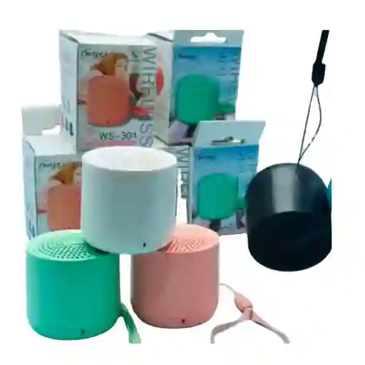 Parlante Bafle Ws-301