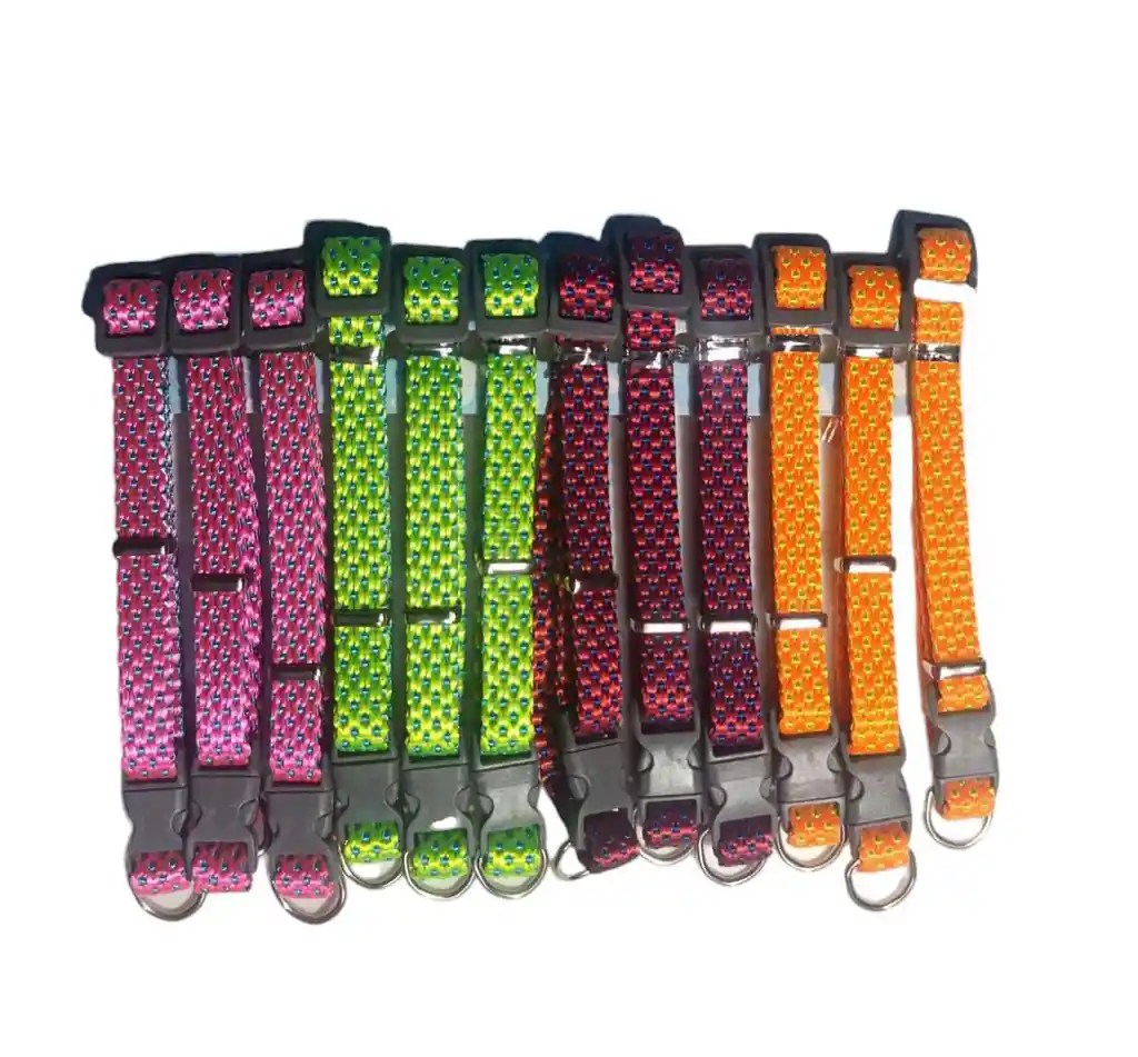 Pet Collars Color Surtido