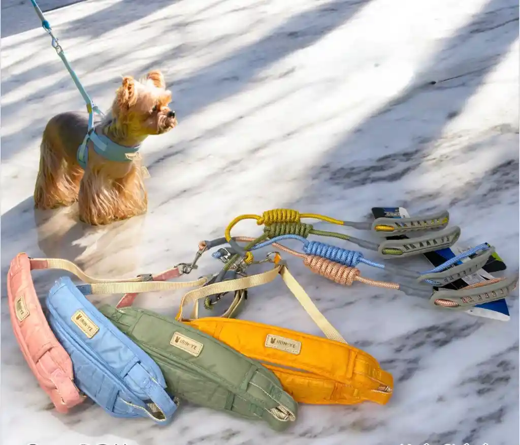 Pechera Perro Ajustable Razas Pequeñas Talla S