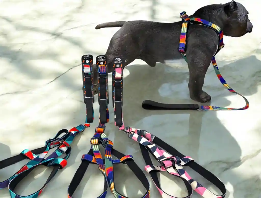 Pechera Perro Acolchonada Premium Talla L