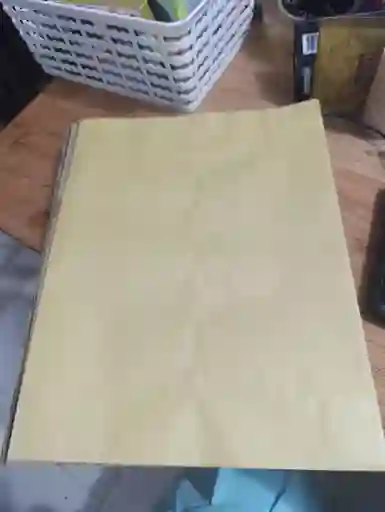 Bolsa De Manila X1