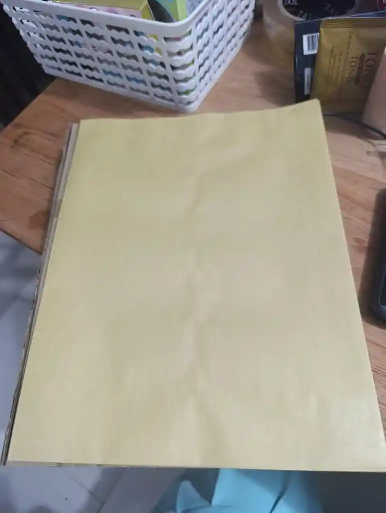 Bolsa De Manila X1