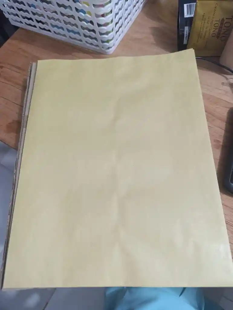 Bolsa De Manila X1