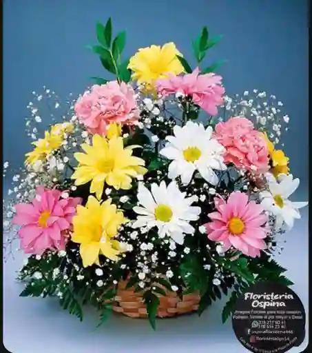 Arreglo Floral Picis