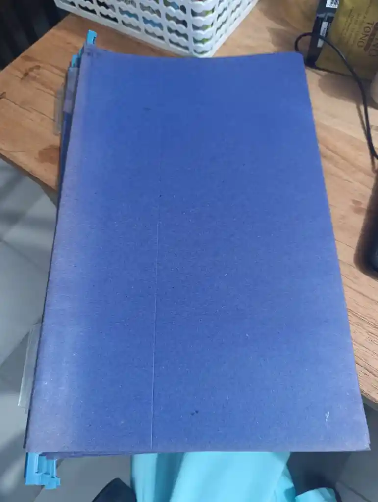 Carpeta Azul X1
