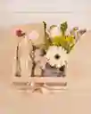 Día De La Mamá. Ancheta Espiritual Con Virgen De Guadalupe, Flores, Astromelias, Gerbera. Detalle Económico