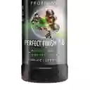 Sonax Profiline Cera Acabado Perfecto 1 Lt
