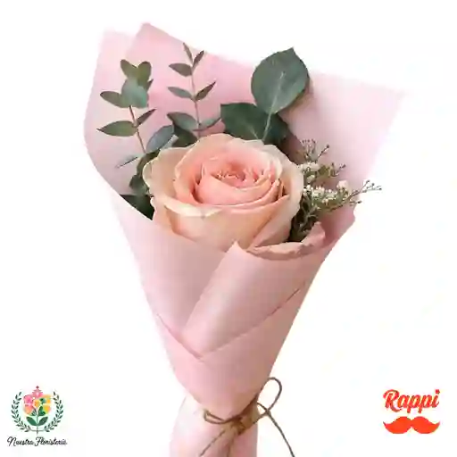 Rosa Rosado Claro