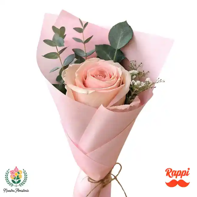 Rosa Rosado Claro