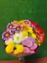 Ramo Pompones De Colores