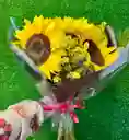 Ramo Solar – Girasoles Radiantes