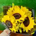 Ramo Solar – Girasoles Radiantes