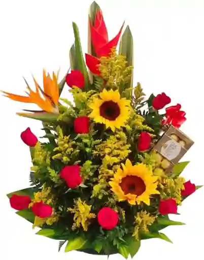 Jardín
