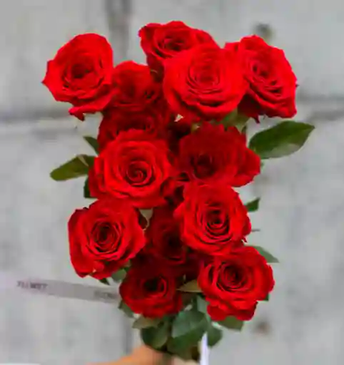 Bouquet De Rosas Emma 12 Rosas