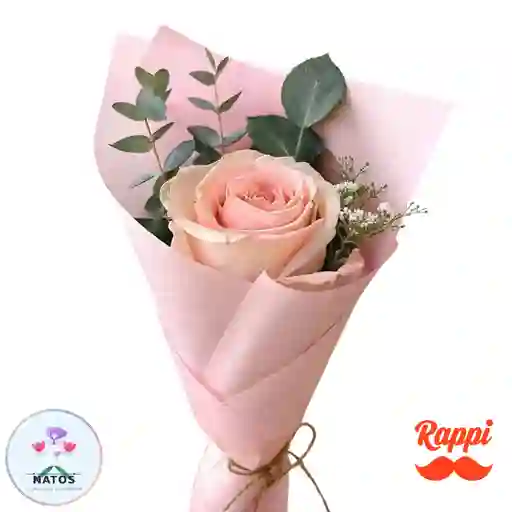 Rosa Rosado Claro
