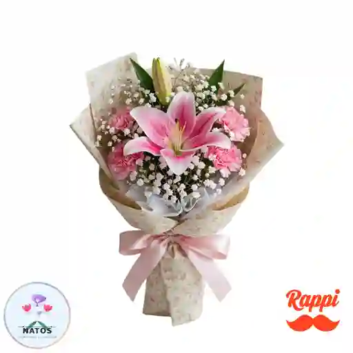 Mini Jardín Rosa