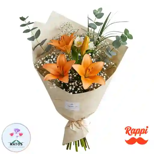 Elegancia Naranja