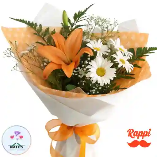 Blanco Y Naranja Alegre