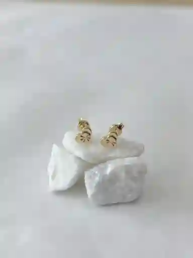 Arete Corazón Círculo Diamantado