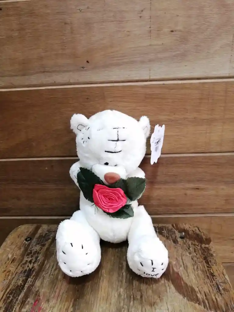 Oso Con Una Rosa