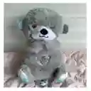 Peluche Infantil De Apego Sonido Y Luz Gris