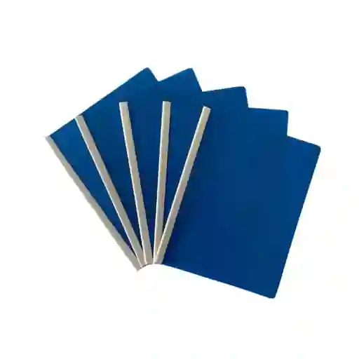 Carpeta Tamaño Carta X1