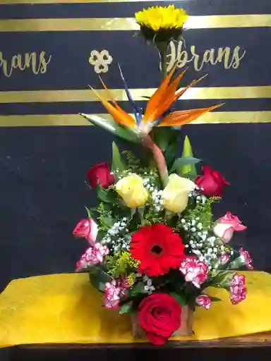 Armonía Tropical