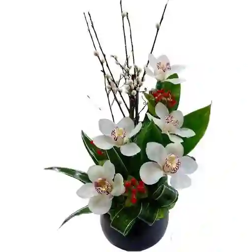 Ikebana De Orquídeas Cimbidium