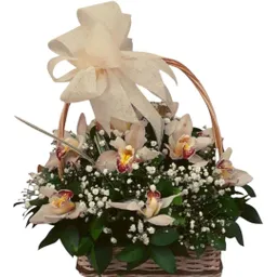 Canasta De Orquídeas Cimbidium