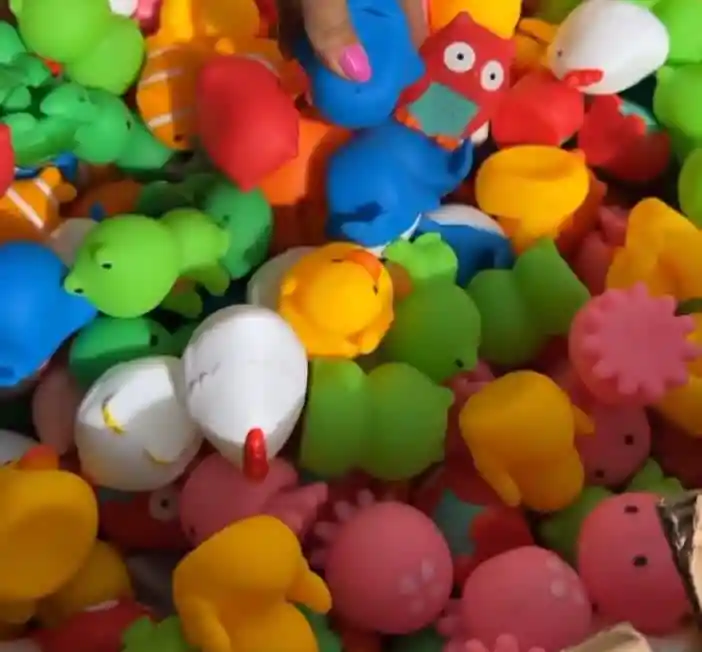 Juguete Para Bebes Animales De Hule Surtidos 10unidades