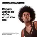 Kit Pack Absolut Repair Molecular Loreal Professionnel