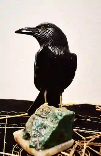 Cuervo De Obsidiana