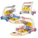 Andadera Caminador Y Gimnasio Piano Musical 2 En 1 Rosa