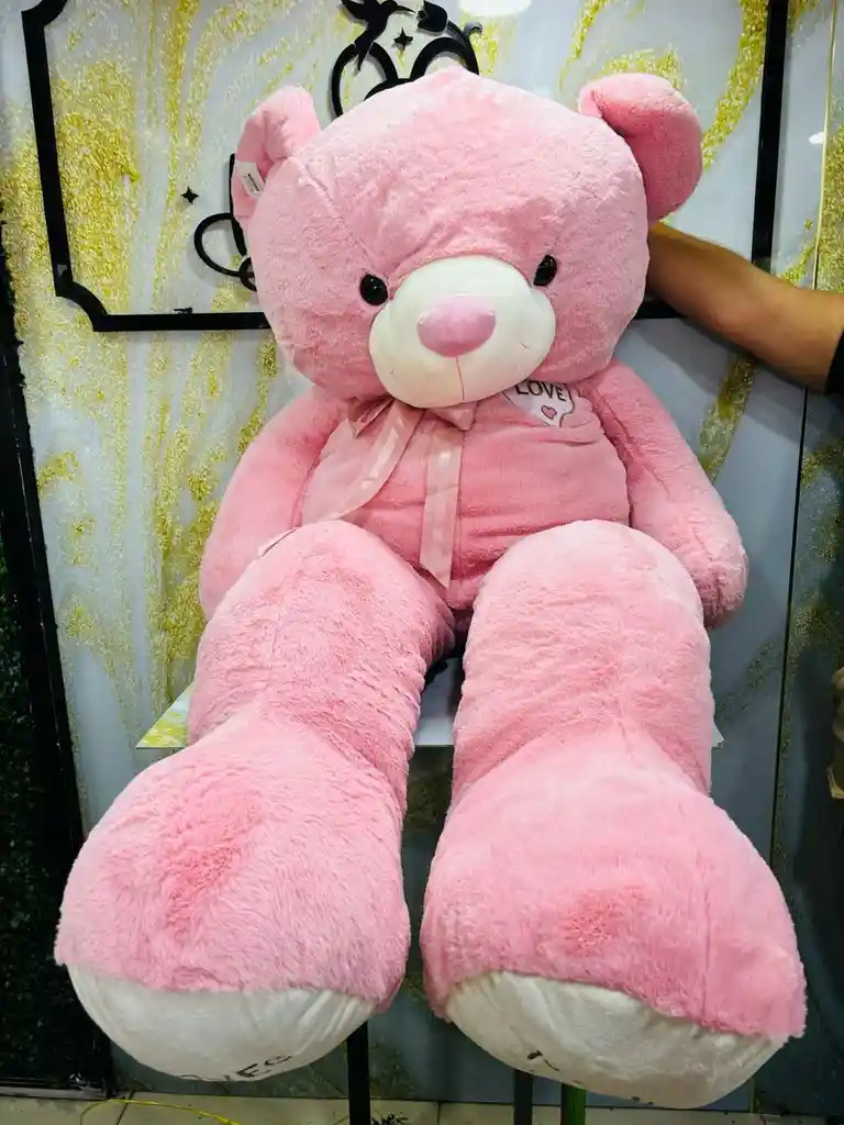 20250305 Peluches