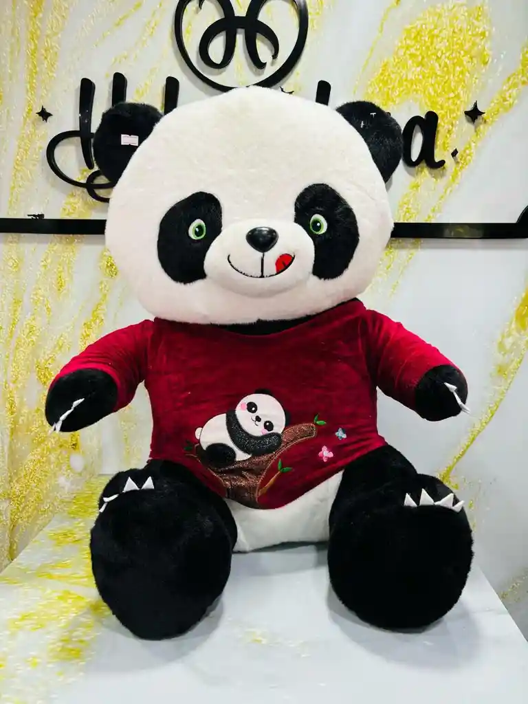 20250308peluches