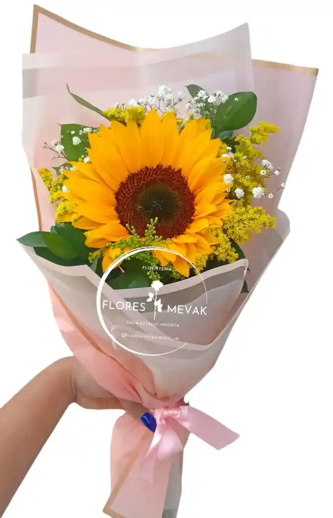 Flores, Girasol En Solitario