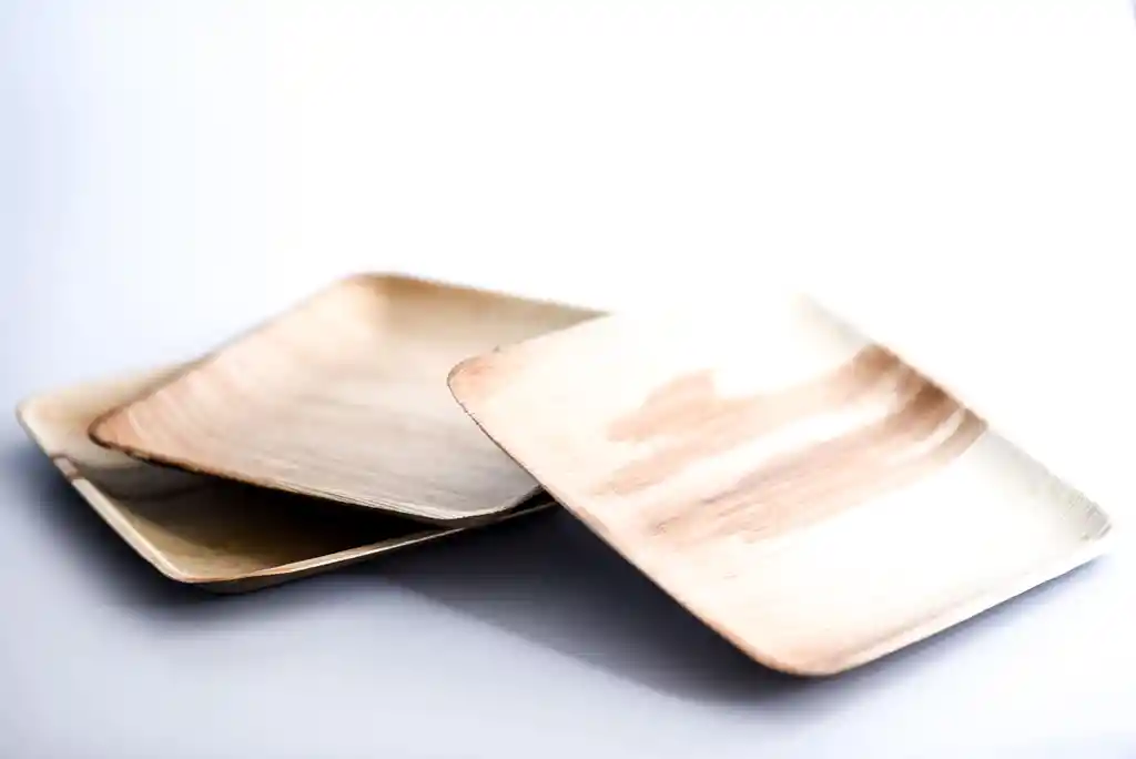 Platos Desechables Ecológicos Cuadrado Mediano 19x19cm (10 Un)