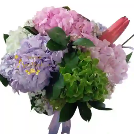 Arreglo De Hortensias #4
